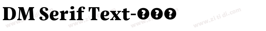 DM Serif Text字体转换